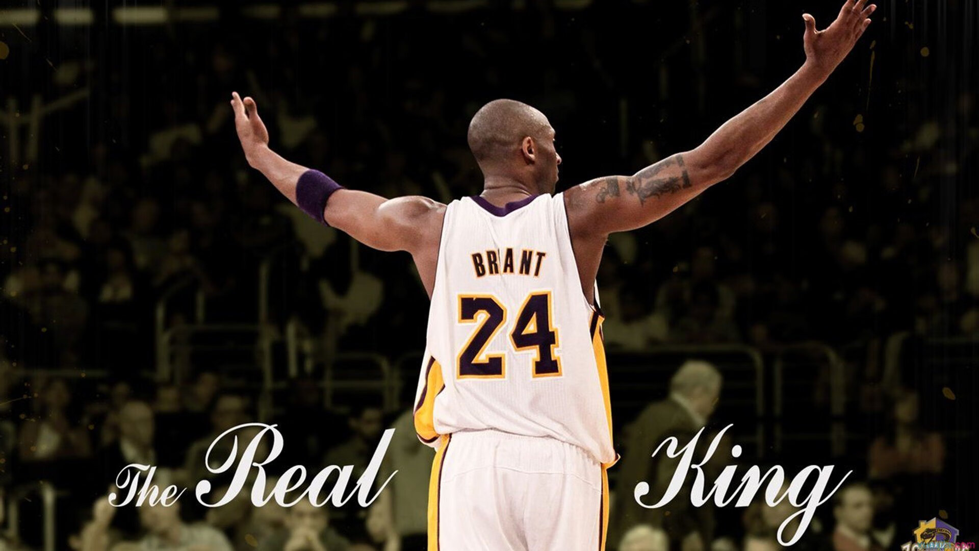 莎拉波娃重要时刻比赛局势复杂，德国队带队取胜！上演精彩一战